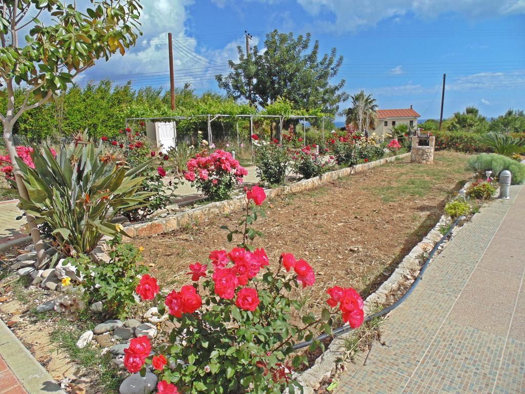 Eliofos Luxury Villa Polis Esterno foto