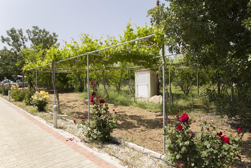 Eliofos Luxury Villa Polis Esterno foto
